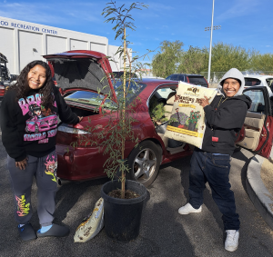 NLV Tree Giveaway